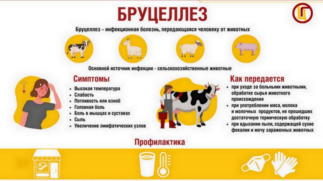 Информация.
