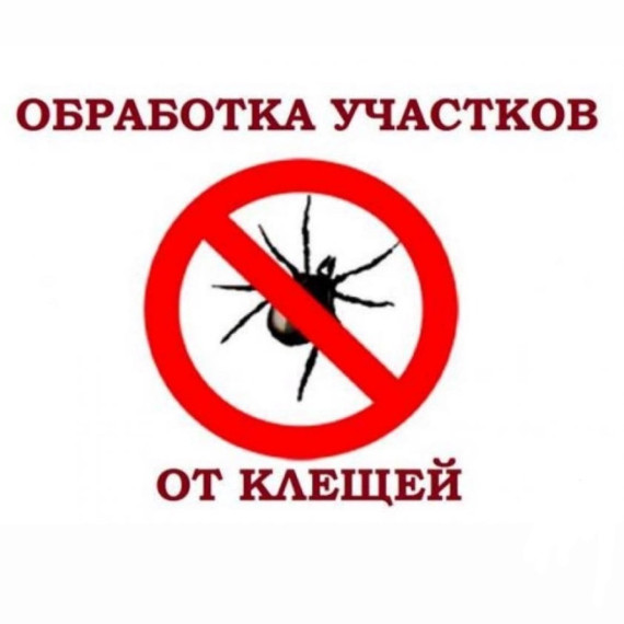 Противоклещевая обработка. Противоклещевая обработка.