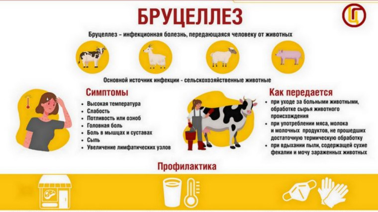 Информация. Информация.